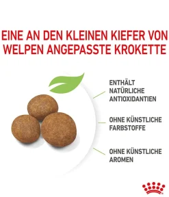 ROYAL CANIN® Trockenfutter Hund > Trockenfutter für Hunde Maxi Puppy