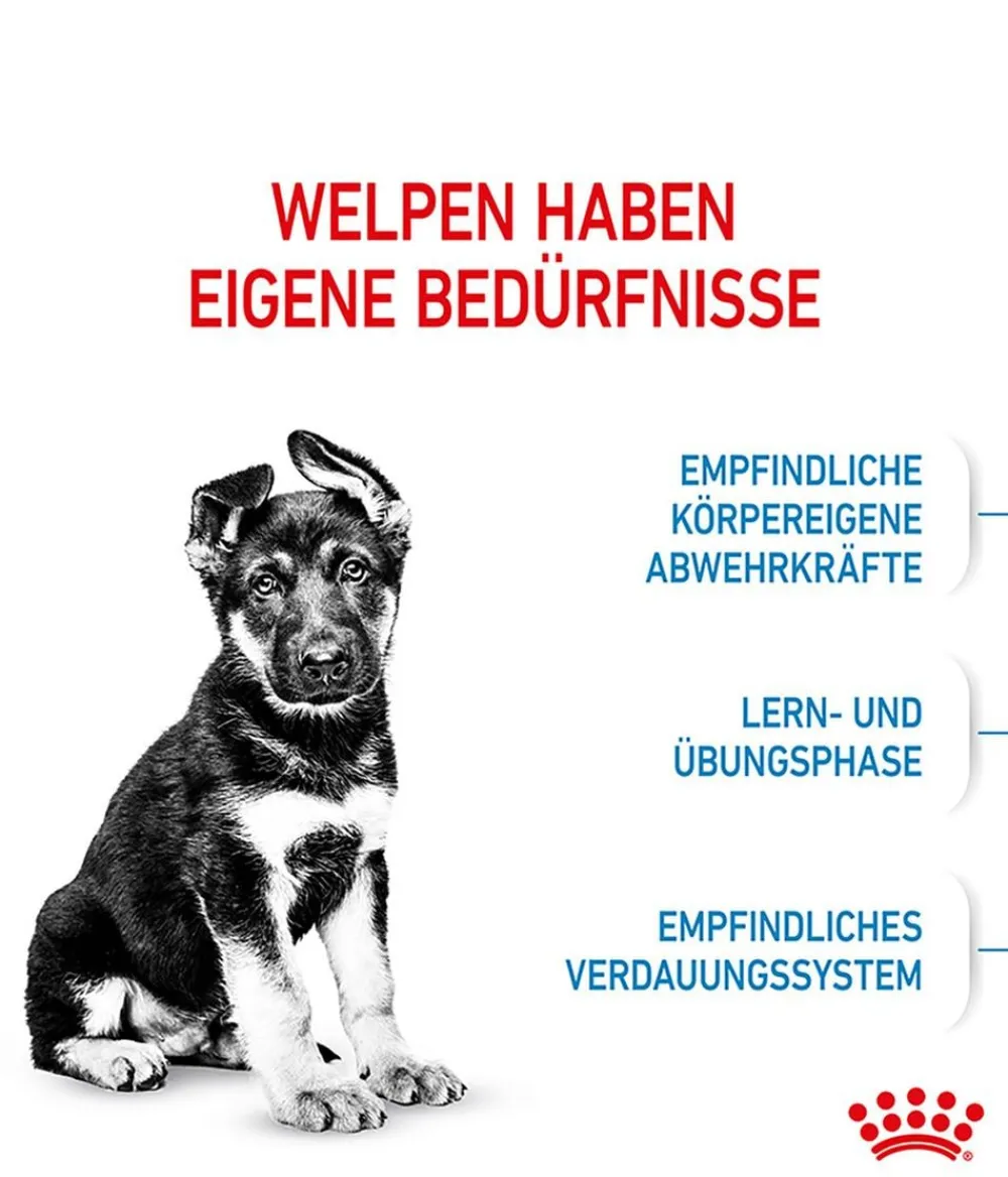 ROYAL CANIN® Trockenfutter Hund > Trockenfutter für Hunde Maxi Puppy