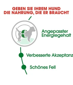 ROYAL CANIN® Trockenfutter für Hunde Mini Adult Sale