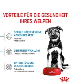 ROYAL CANIN® Trockenfutter Hund - Trockenfutter für Hunde Maxi Puppy