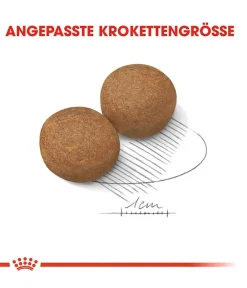 ROYAL CANIN® Trockenfutter Hund > Trockenfutter für Hunde Maxi Adult