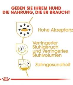 ROYAL CANIN® Trockenfutter für Hunde Chihuahua Adult Discount