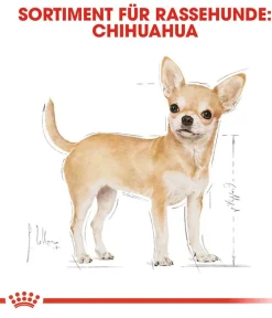 ROYAL CANIN® Trockenfutter für Hunde Chihuahua Adult Discount
