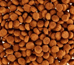 ROYAL CANIN® Trockenfutter Hund - Trockenfutter für Hunde Chihuahua Adult