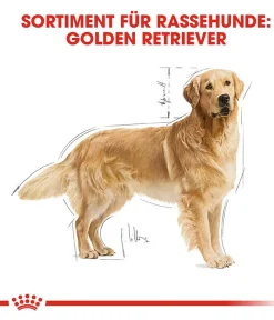 ROYAL CANIN® Trockenfutter Hund > Trockenfutter für Hunde Golden Retriever Adult