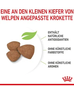 ROYAL CANIN® Trockenfutter Hund > Trockenfutter für Hunde Mini Puppy