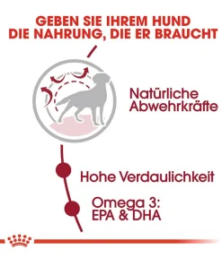 ROYAL CANIN® Trockenfutter Hund > Trockenfutter für Hunde Medium Adult
