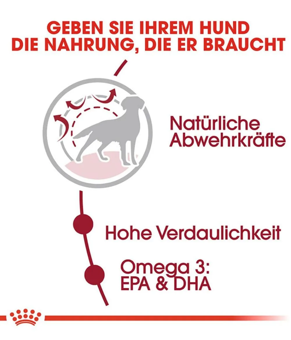 ROYAL CANIN® Trockenfutter Hund > Trockenfutter für Hunde Medium Adult