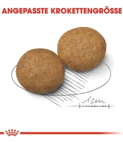 ROYAL CANIN® Trockenfutter Hund > Trockenfutter für Hunde Medium Adult