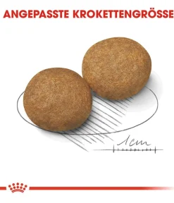 ROYAL CANIN® Trockenfutter für Hunde Medium Adult