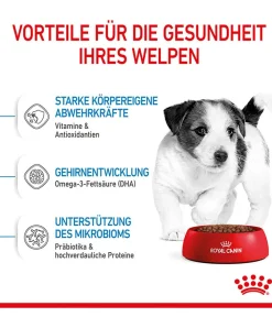ROYAL CANIN® Trockenfutter Hund - Trockenfutter für Hunde Mini Puppy