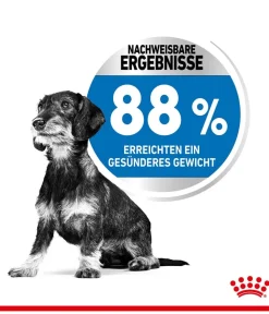 ROYAL CANIN® Trockenfutter Hund > Trockenfutter für Hunde Light Weight Care Mini