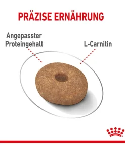 ROYAL CANIN® Trockenfutter Hund > Trockenfutter für Hunde Light Weight Care Mini