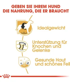 ROYAL CANIN® Trockenfutter für Hunde Labrador Retriever Adult Hot