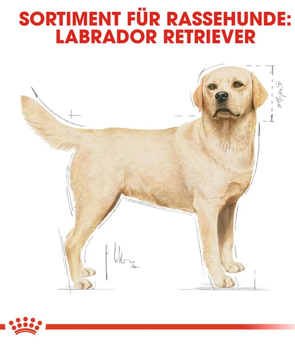ROYAL CANIN® Trockenfutter für Hunde Labrador Retriever Adult Hot