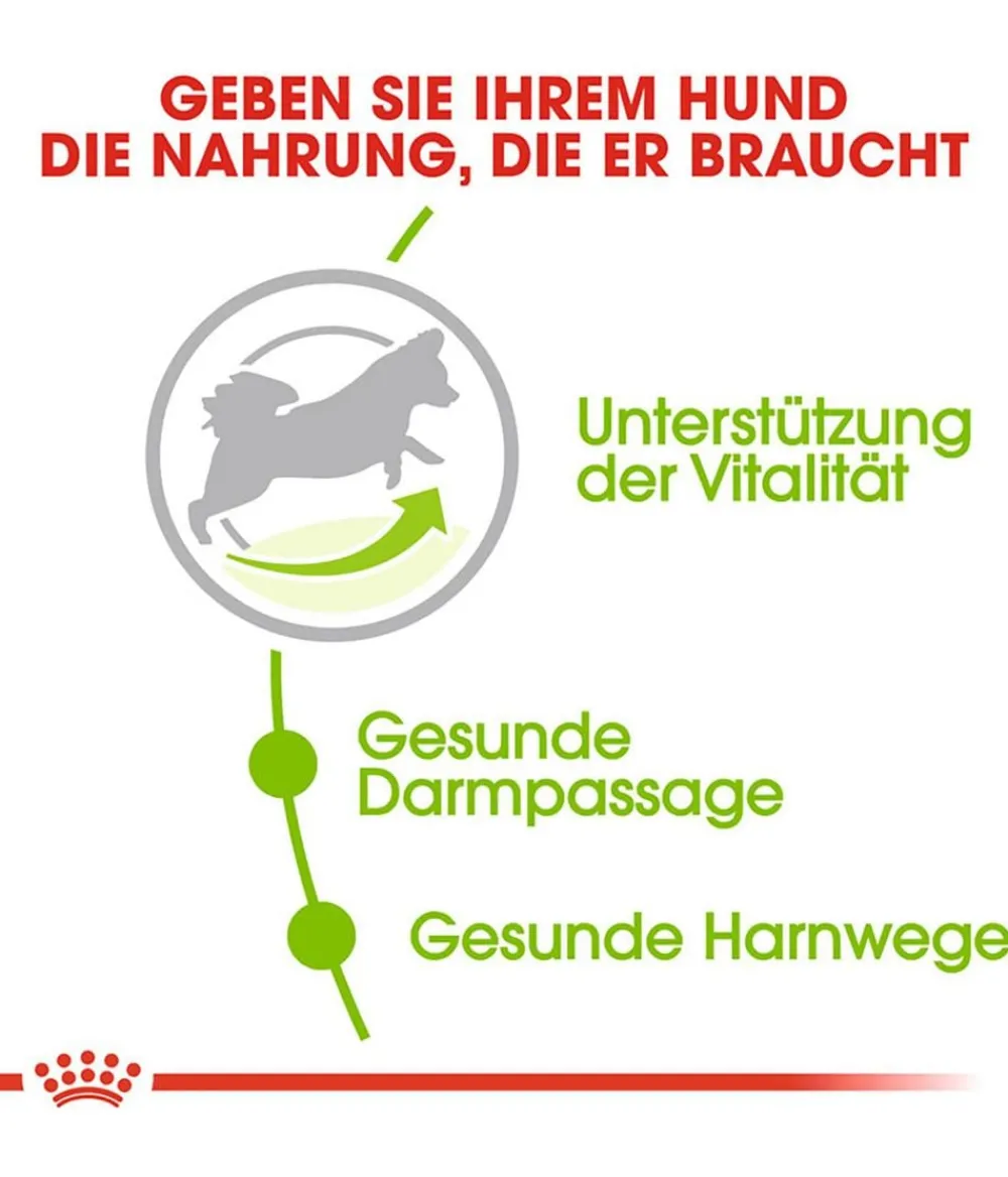 ROYAL CANIN® Trockenfutter Hund > Trockenfutter für Hunde X-Small Adult 8+