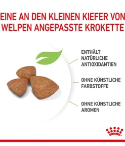 ROYAL CANIN® Trockenfutter Hund - Trockenfutter für Hunde X-Small Puppy