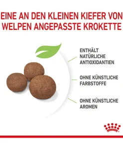 ROYAL CANIN® Trockenfutter Hund - Trockenfutter für Hunde Medium Puppy