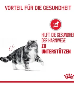 ROYAL CANIN® Trockenfutter für Katzen Urinary Care Discount