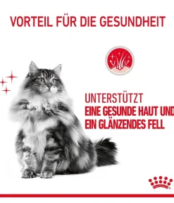 ROYAL CANIN® Trockenfutter Katze > Trockenfutter für Katzen Hair & Skin Care