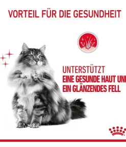 ROYAL CANIN® Trockenfutter Katze > Trockenfutter für Katzen Hair & Skin Care
