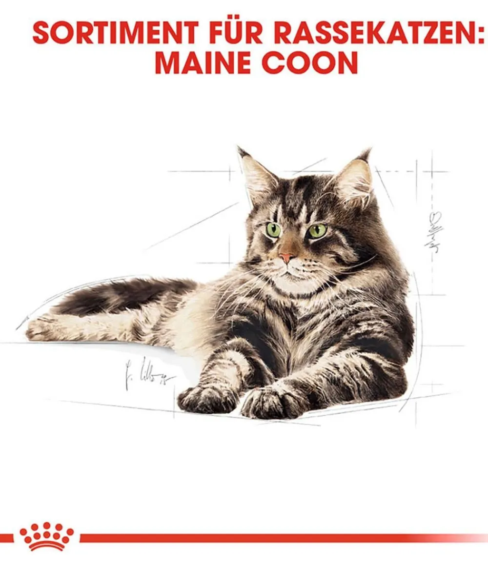 ROYAL CANIN® Trockenfutter Katze > Trockenfutter für Katzen Maine Coon Adult