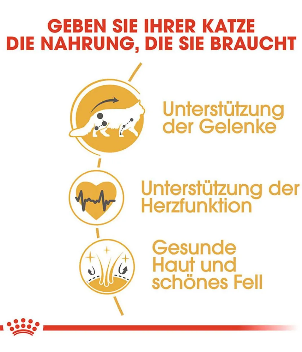 ROYAL CANIN® Trockenfutter Katze > Trockenfutter für Katzen Maine Coon Adult