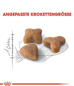 ROYAL CANIN® Trockenfutter Katze > Trockenfutter für Katzen Sensible