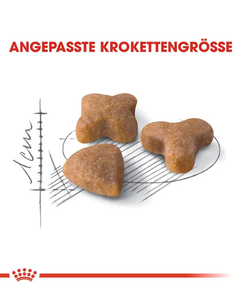 ROYAL CANIN® Trockenfutter Katze > Trockenfutter für Katzen Sensible