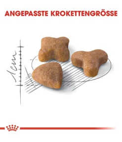 ROYAL CANIN® Trockenfutter Katze > Trockenfutter für Katzen Sensible