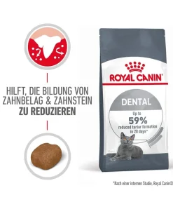 ROYAL CANIN® Trockenfutter Katze > Trockenfutter für Katzen Dental Care