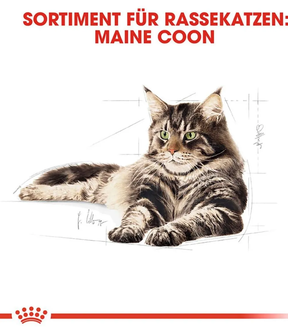 ROYAL CANIN® Trockenfutter Katze > Trockenfutter für Katzen Kitten