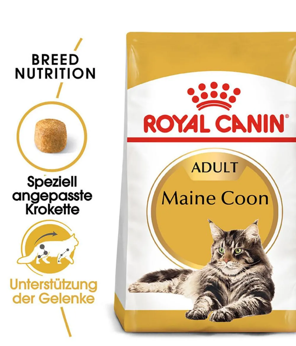 ROYAL CANIN® Trockenfutter Katze > Trockenfutter für Katzen Kitten