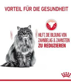 ROYAL CANIN® Trockenfutter für Katzen Dental Care Sale