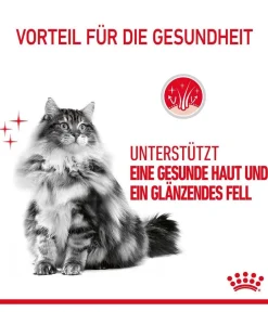 ROYAL CANIN® Trockenfutter Katze - Trockenfutter für Katzen Hair & Skin Care