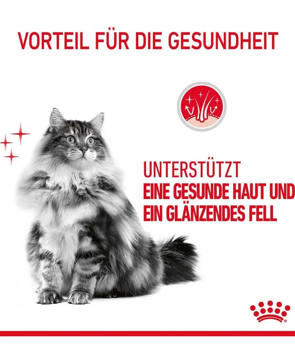 ROYAL CANIN® Trockenfutter Katze - Trockenfutter für Katzen Hair & Skin Care