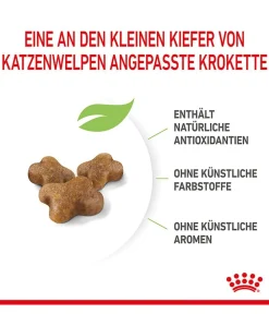 ROYAL CANIN® Trockenfutter für Katzen Kitten Outlet