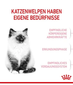 ROYAL CANIN® Trockenfutter für Katzen Kitten Outlet