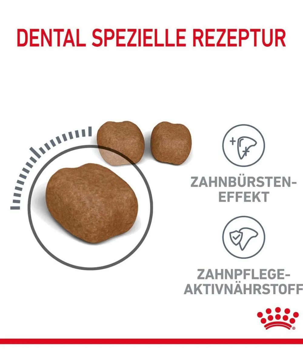 ROYAL CANIN® Trockenfutter Katze - Trockenfutter für Katzen Dental Care