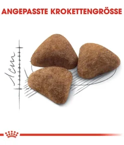 ROYAL CANIN® Trockenfutter Katze - Trockenfutter für Katzen Indoor