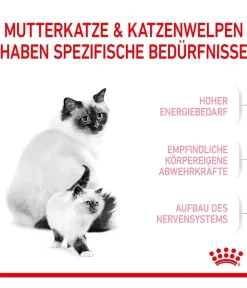ROYAL CANIN® Trockenfutter Katze - Trockenfutter für Katzen Mother & Babycat