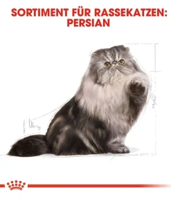 ROYAL CANIN® Trockenfutter Katze > Trockenfutter für Katzen Persian Adult