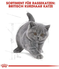 ROYAL CANIN® Trockenfutter für Katzen British Shorthair Kitten Best