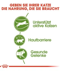 ROYAL CANIN® Trockenfutter für Katzen Outdoor New