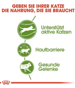 ROYAL CANIN® Trockenfutter für Katzen Outdoor New