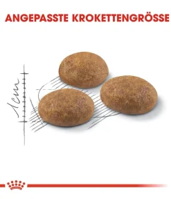 ROYAL CANIN® Trockenfutter für Katzen Outdoor New