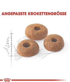 ROYAL CANIN® Trockenfutter Katze > Trockenfutter für Katzen Fit