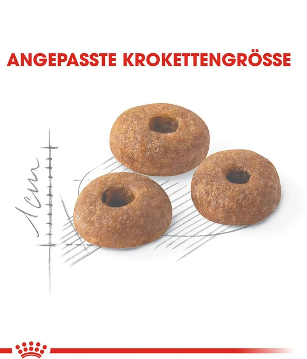 ROYAL CANIN® Trockenfutter Katze > Trockenfutter für Katzen Fit