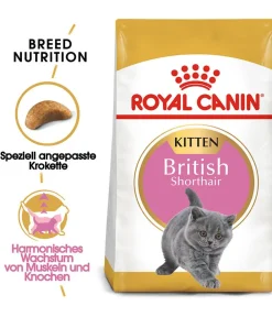ROYAL CANIN® Trockenfutter Katze - Trockenfutter für Katzen British Shorthair Kitten
