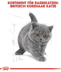 ROYAL CANIN® Trockenfutter Katze - Trockenfutter für Katzen British Shorthair Kitten